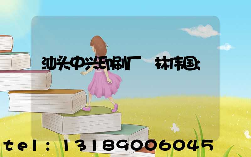 汕头中兴印刷厂 林伟国